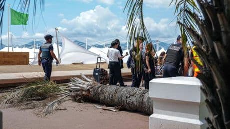 Cannes, Chaos, Katharsis