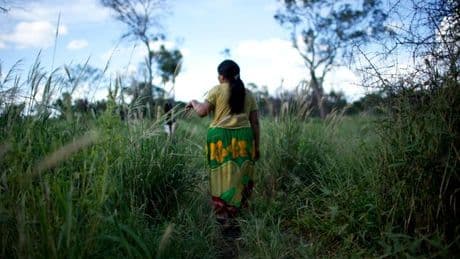 Au Paraguay, prouver l’existence du peuple ayoreo pour lui permettre de survivre