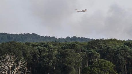 Incendies : la forêt de Brocéliande, en Bretagne, touchée par un feu important