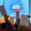 Ärger in Mecklenburg-Vorpommern: CDU-Politiker und FDP-Abgeordnete nach Besuch bei AfD-Sommerfest in der Kritik