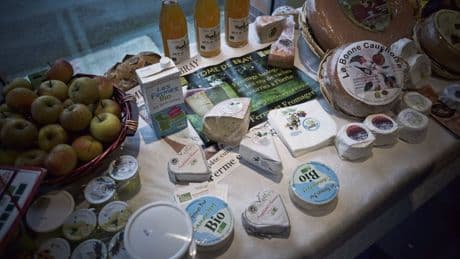 Entre Le Havre et l’Île de France, comment AgriParis Seine mise sur la restauration collective pour relancer le bio