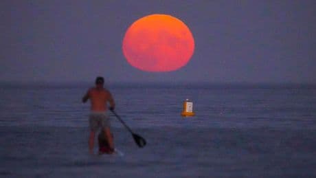 See A ‘Sturgeon Moon’ Rise With Naked Eyes: The Night Sky This Week
