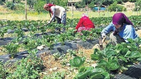 Gençler ve kadınlar doğduğu yerde doymalı