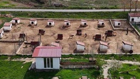 Dünyada eşi benzeri yok! Ünü ülke sınırlarını aştı: Suudi Arabistan, Katar, BAE peşinde...