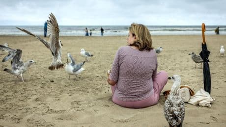 Terrormeeuwen storten zich op mensen met etenswaren als ’lopend buffet’: zo wordt friet of ijsje niet uit jouw handen gegrist