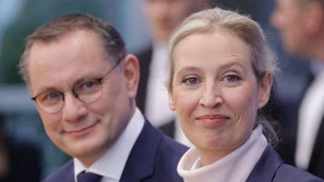 Top-Soziologe erklärt den "größten Fehler im Umgang mit der AfD"