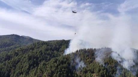 Kahramanmaraş'ta orman yangını! Ekipler harekete geçti
