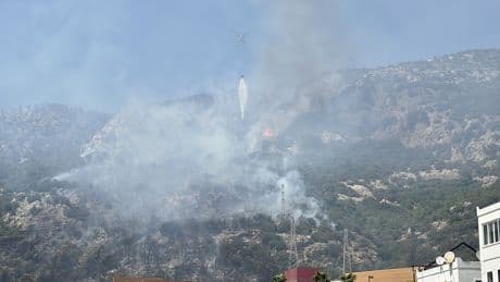 Bodrum'da maki yangını kontrol altına alındı