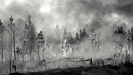 Incendie dans l’Aude : l’écho tragique de la catastrophe de 1949