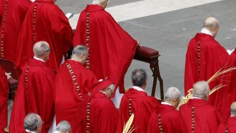 Conclave : que représentent les Asiatiques parmi les électeurs ?
