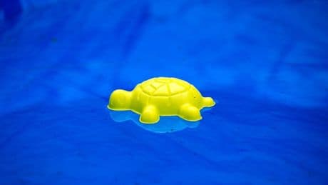 Zwei vermisste Kinder tot in Swimmingpool gefunden