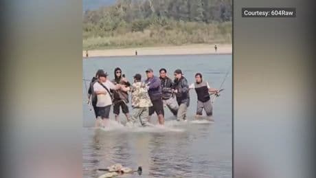Brawl breaks out during sockeye fishery on Fraser River: ‘Not sportsmanship’