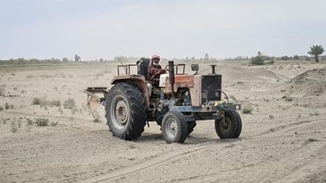 Syrie : dans la région de Deir ez-Zor, une agriculture à reconstruire