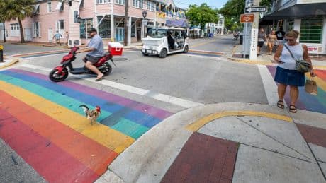 Florida puts rainbow crosswalks in the crosshairs, as cities face deadlines to remove them