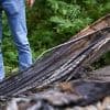 Weitere Brände angedroht: Reul: Linksextreme wohl für Bahn-Anschläge verantwortlich