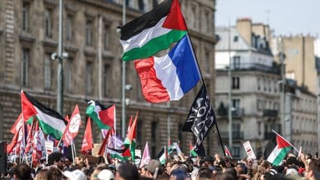 Reconnaissance de la Palestine : « décision précipitée » pour le RN, « victoire morale » selon LFI