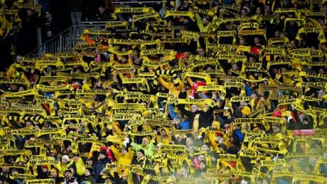 Bodo/Glimt fan trades five kilos of fish for ticket to Tottenham semi-final