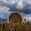 Gewitter in Berlin und Brandenburg: Wolken, Regen und kein Sommerwetter in Sicht