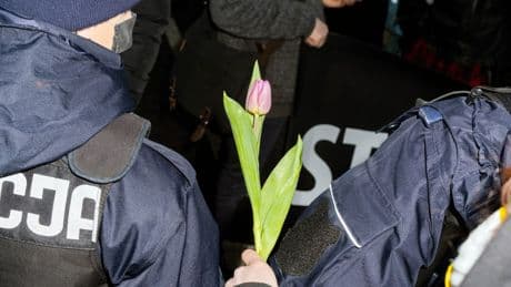 Signalwirkung | Ob Rechtsextremismus, Revolution oder Frieden: Zehn Fakten über Blumen
