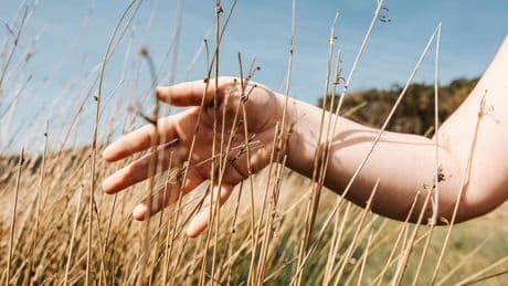 "Sunburn" von Chloe Michelle Howarth: Tage wie halb geschmolzenes Kerzenwachs