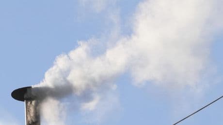 White smoke, new shepherd: Catholic Church has a new pope
