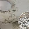 Newbuild snag expert reveals the VERY important test every owner should carry out when buying a home... FLUSH THE TOILET