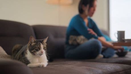 Cat expert explains brutal reason your pet ignores you when you call their name