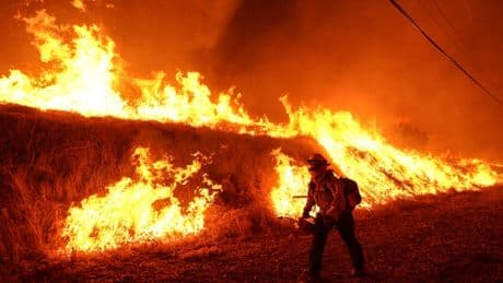 Trump plan to unify wildfire work targets inefficiencies but former officials warn of chaos