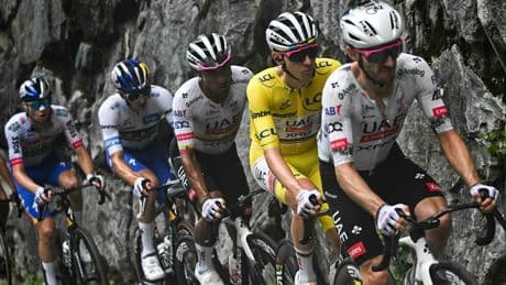 Rinderseuche ausgebrochen - Tour de France verkürzt schwere Alpen-Etappe