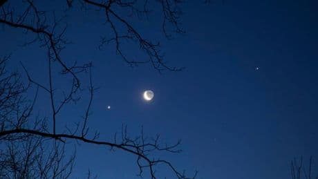 Don’t Miss This Weekend’s Sky Show As The Moon Meets Regulus