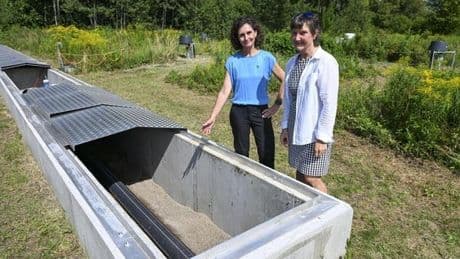 Wie Berlin sein Grundwasser zukunftssicher machen will