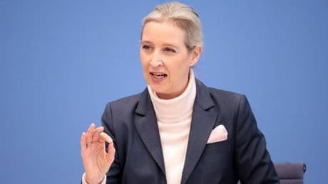 AfD klagt gegen Verfassungsschutz – bleibt Gutachten geheim?