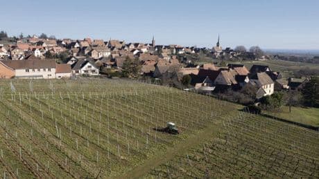 Santé : une étude confirme la surexposition des riverains des zones viticoles aux pesticides