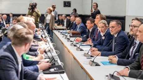 AfD: Warum die Partei keine Ausschussvorsitze im Bundestag bekommt