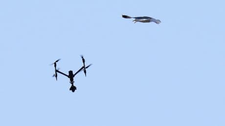 Drones, contraband pose everyday challenges in Quebec detention centres