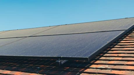Blütenstaub auf Solaranlagen: So viel Strom geht verloren