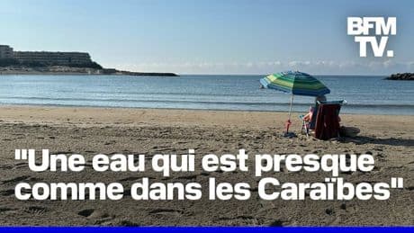ROBIN DE BFM - Nouveau record de chaleur pour la mer Méditerranée