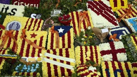 Una Diada para celebrar