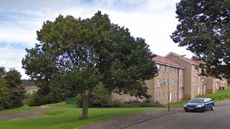 Schoolgirl mauled by dog and rushed to hospital with 'serious injury'