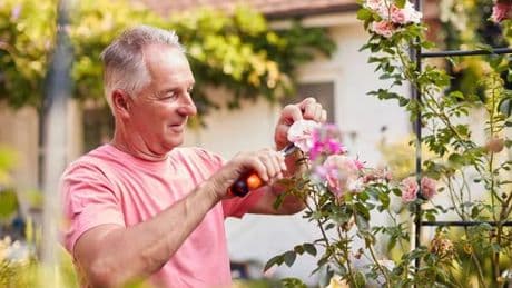 'I moved from America to the UK and gardening is so different in Britain'