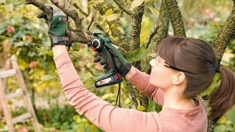 Haus und Garten: Mini-Kettensägen: Warum Heimwerker damit viel Zeit und Kraft sparen