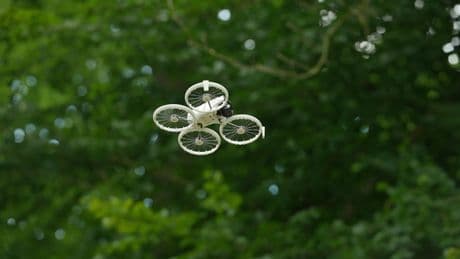 DJI Flip - Intelligenter Begleiter im Test