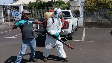 «100.000 personnes pourraient avoir été contaminées» : l’épidémie de chikungunya frappe durement La Réunion, au moins six morts