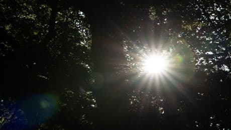 Der Sommer ist zurück - zumindest ein bisschen