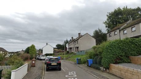 Woman assaulted and French bulldog stolen in Highlands home robbery