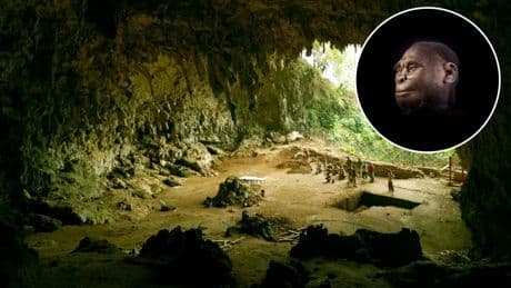 El último misterio de la 'isla de los hobbits': convivieron con una nueva especie humana que los científicos desconocen