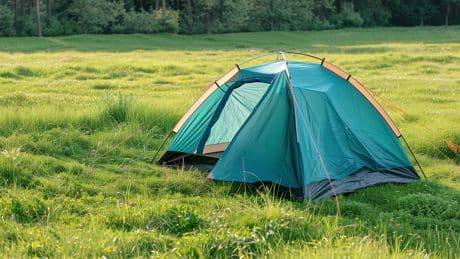 Camping ohne Gebühren: So nutzen Sie das "Jedermannsrecht"-Netzwerk in Deutschland