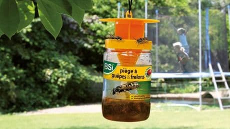 Evita picadas de avispas este verano con la trampa más eficaz que puedes comprar en Amazon