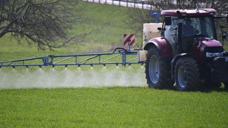 Glyphosate : cette nouvelle étude qui pointe des risques accrus de cancer