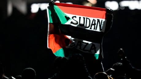 Super Bowl halftime performer arrested after police say he held flag stating 'Sudan and Free Gaza.'